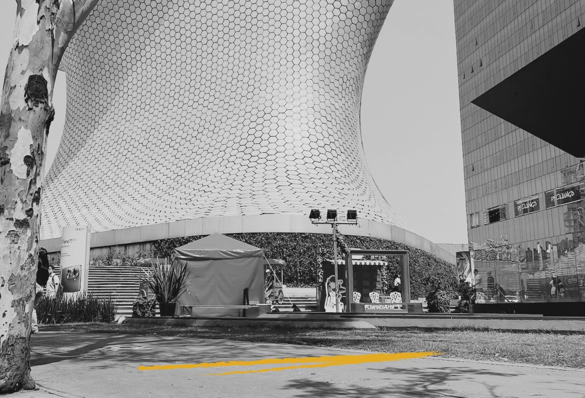 Black and white photo of a modern building with a hexagonal pattern facade, tree in foreground.